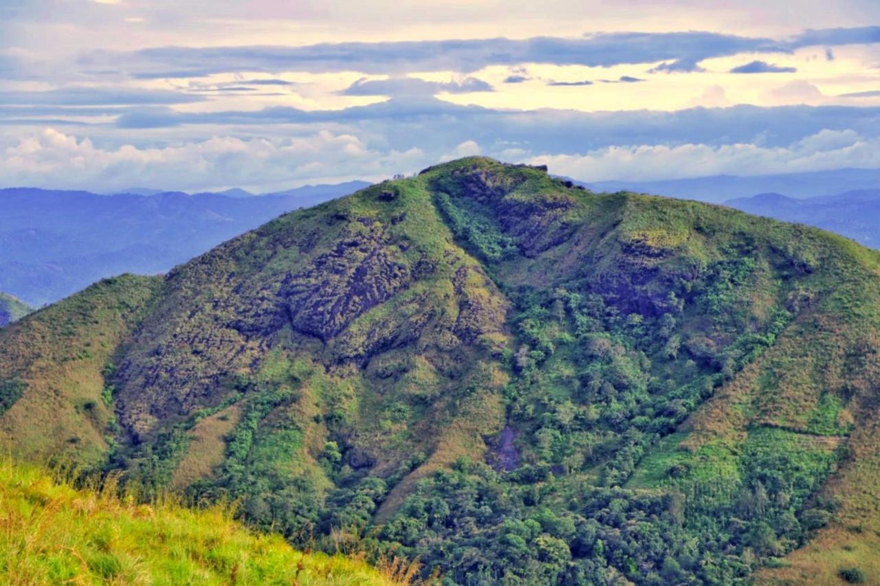 Wild Mist Homestay Муннар Экстерьер фото